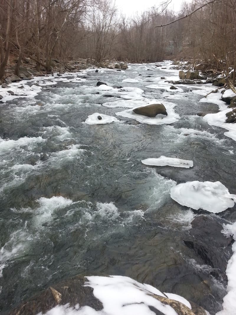 Trip report photo