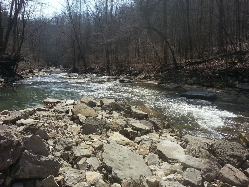 Trip report photo