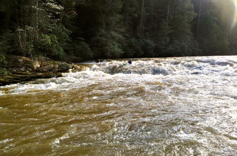 Rooster Tail