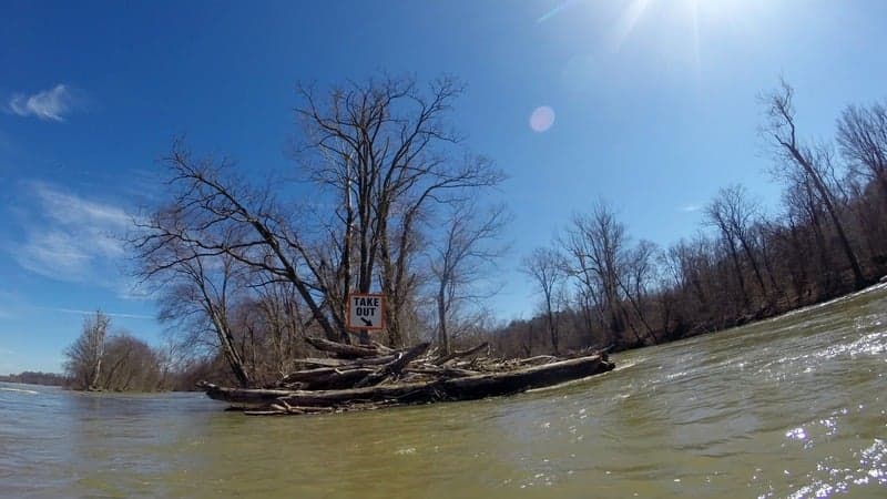 Reedy Creek