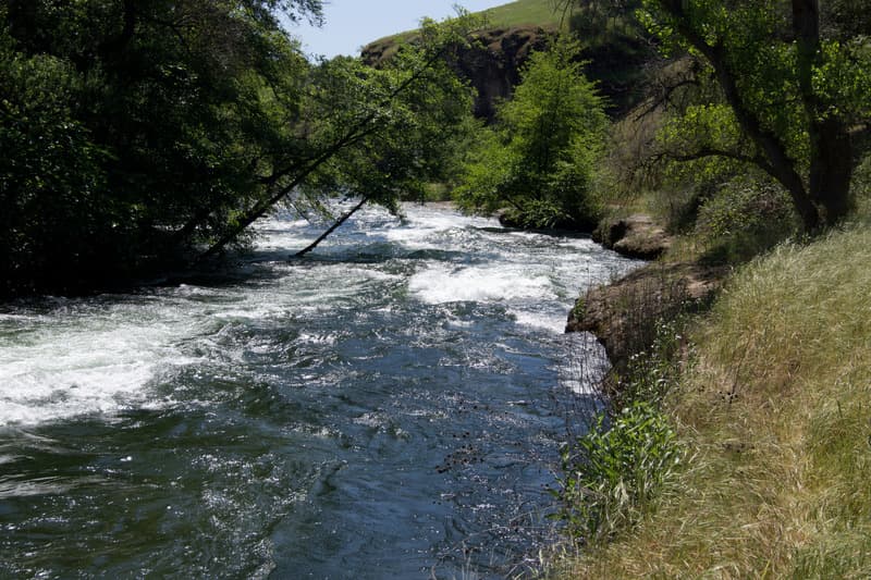Trip report photo