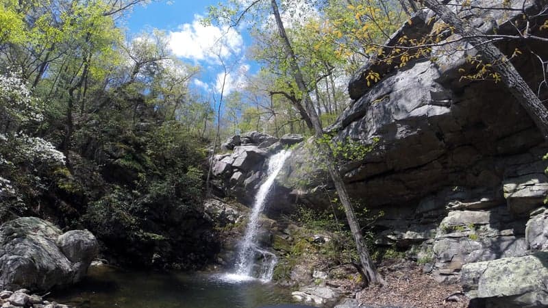 Trip report photo