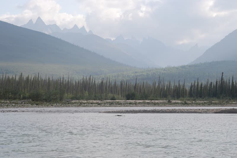 Arrigetch Creek