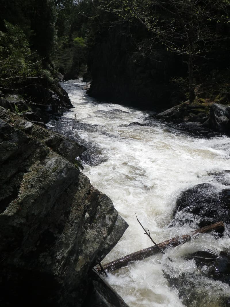 Trip report photo