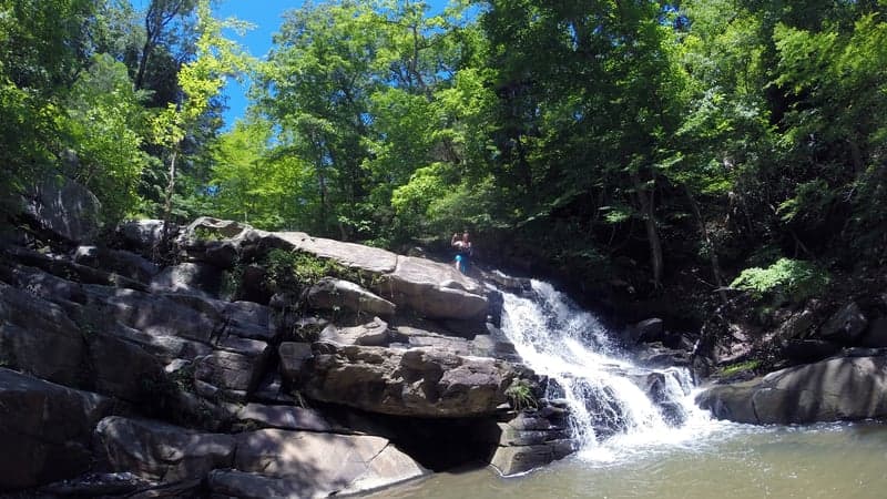 Trip report photo