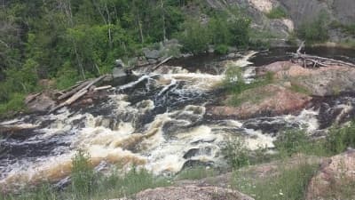 Trip report photo