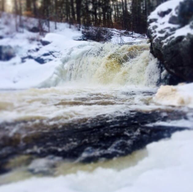 Trip report photo