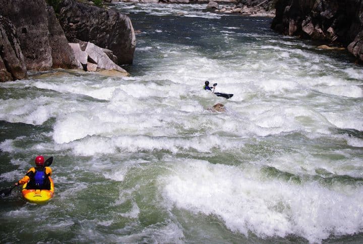 South Fork Salmon