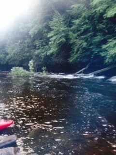 Trip report photo