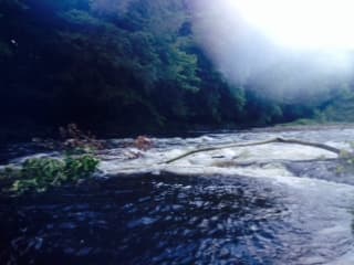 Trip report photo
