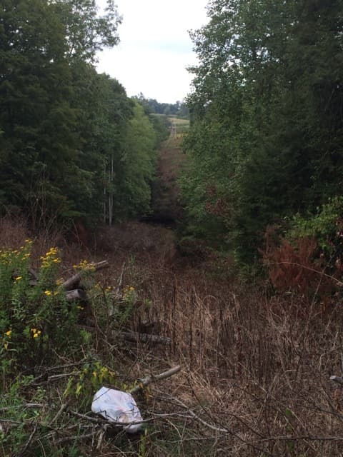 Trip report photo