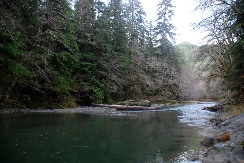 Thanksgiving Weekend on the Sitkum