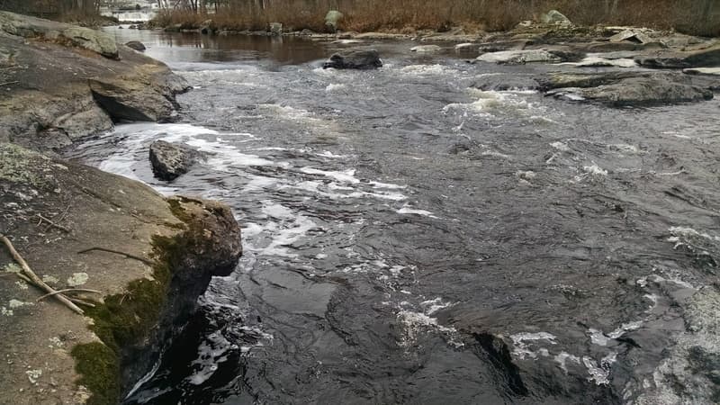 Trip report photo