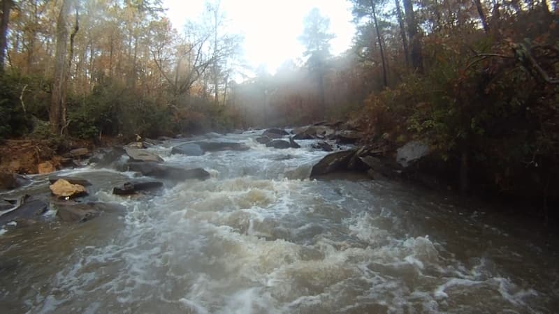 Trip report photo