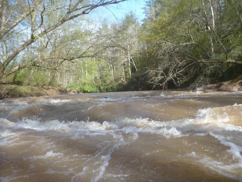 Connie's Rapid