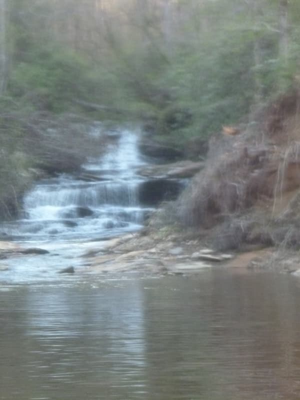 Trip report photo