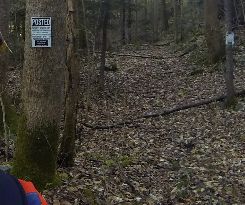 Trip report photo