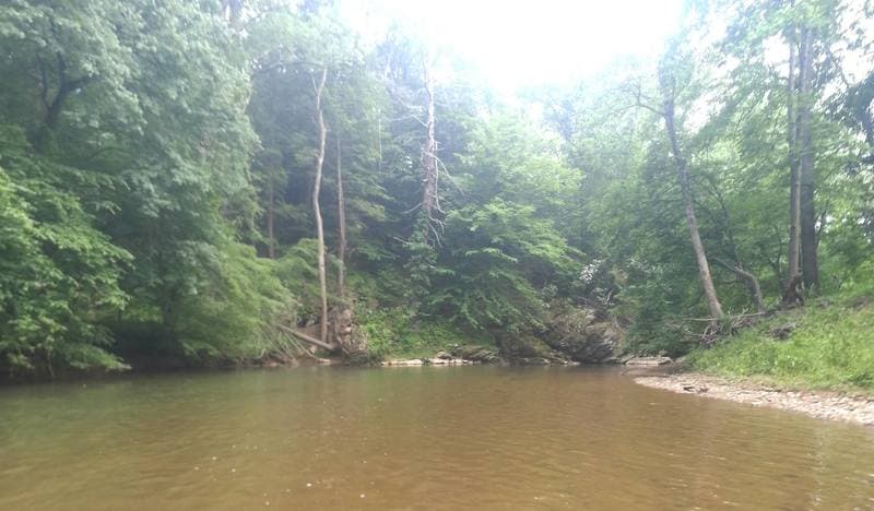 Trip report photo