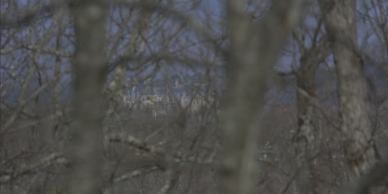 Trip report photo