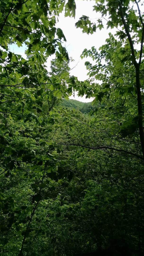 Trip report photo