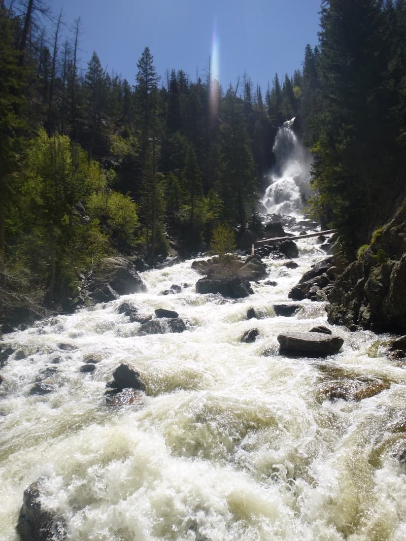 Trip report photo