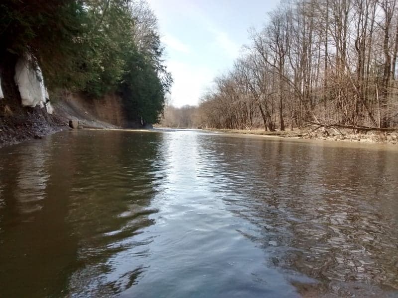 Trip report photo