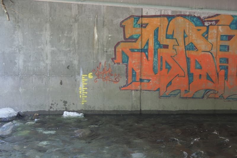 Trip report photo