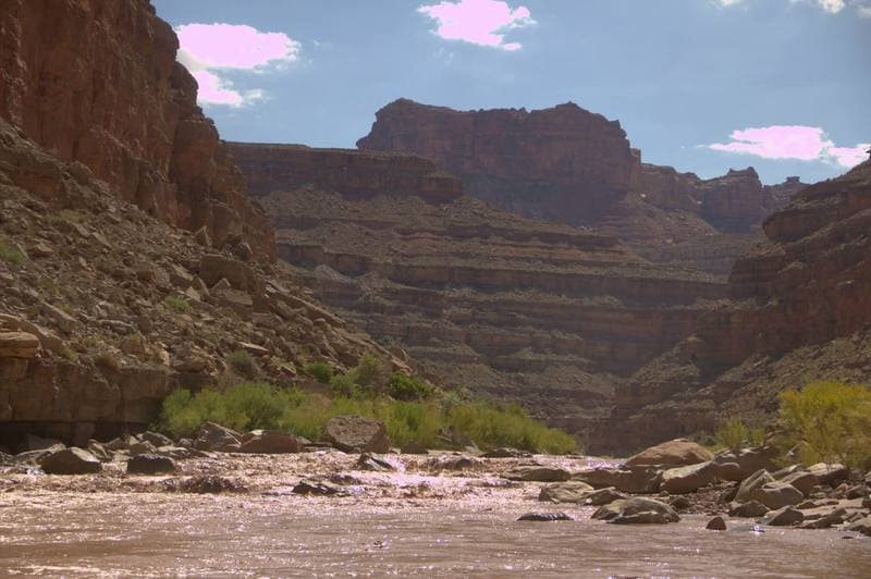 Trip report photo