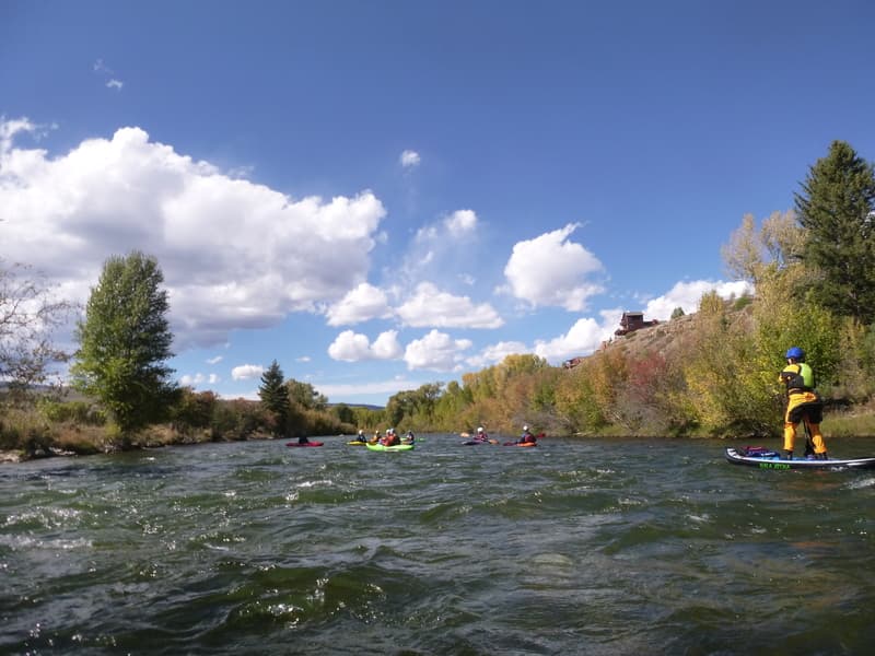 Trip report photo