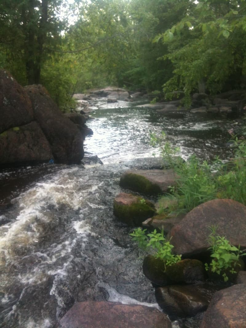Trip report photo