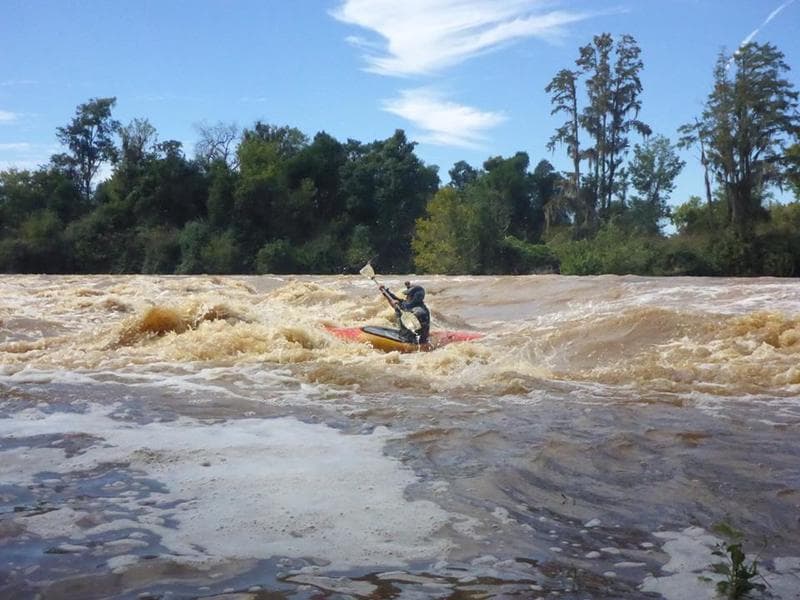 Hammond Rapid