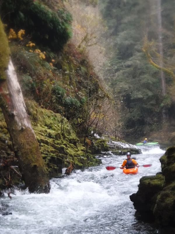 Trip report photo