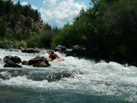 Trip report photo