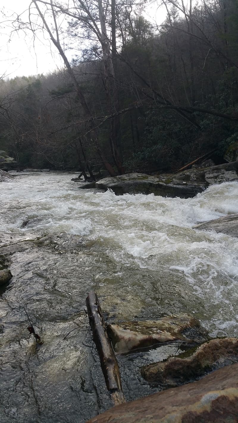 Trip report photo