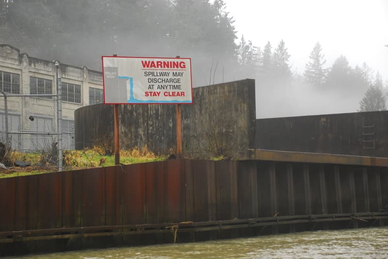 Nisqually Watershed Council Trip