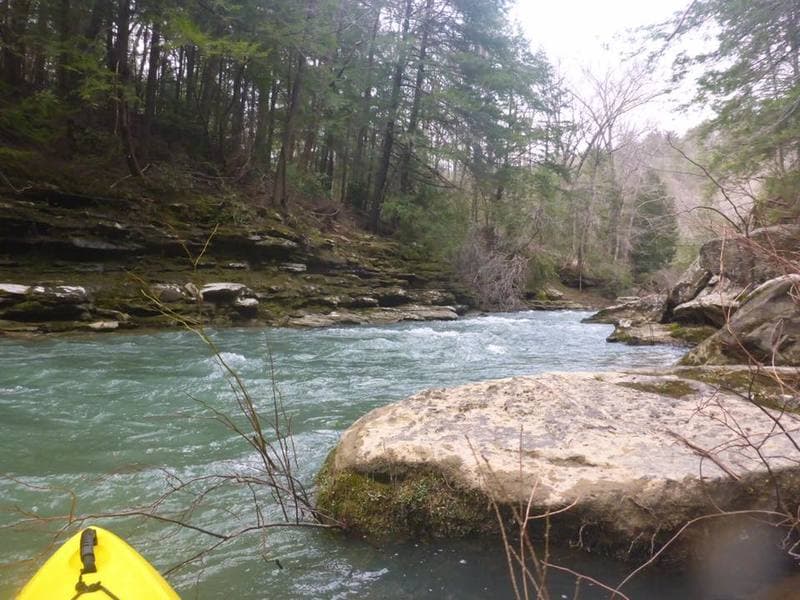 Trip report photo