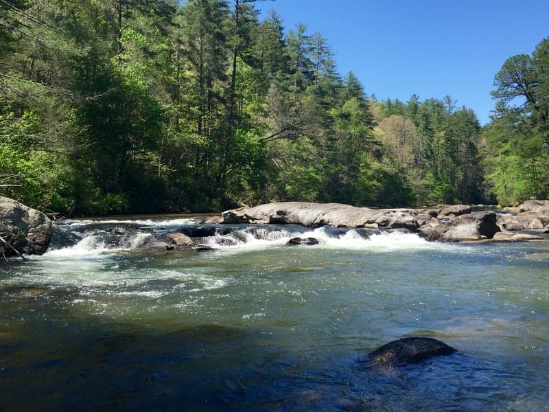 Trip report photo
