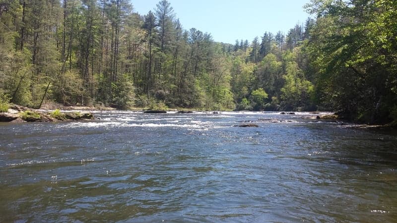 Trip report photo