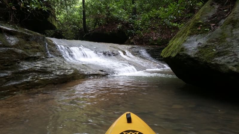 Trip report photo