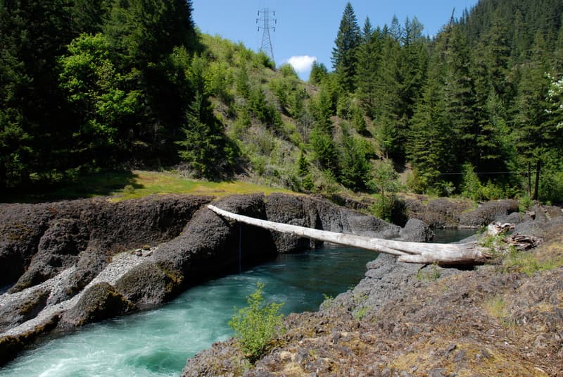 Spring on the Clackamas