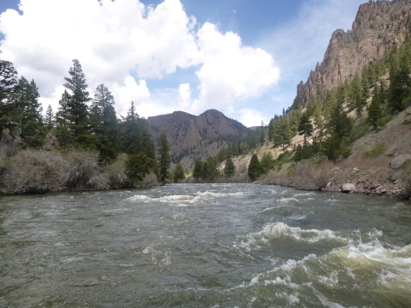 Trip report photo