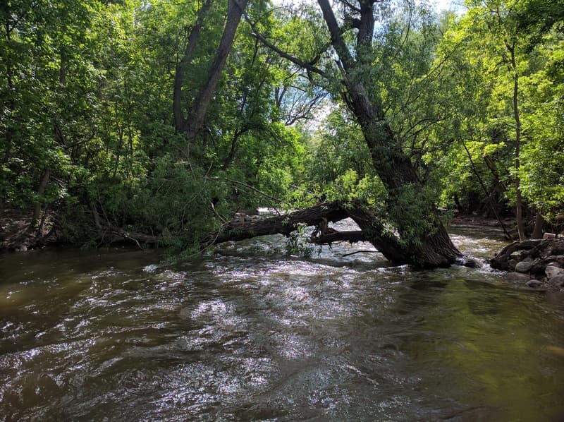 Trip report photo