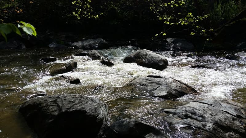 Trip report photo