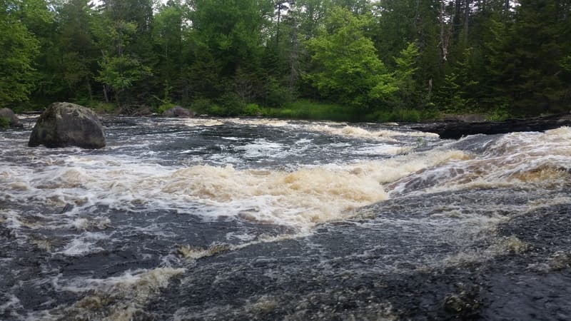 Trip report photo