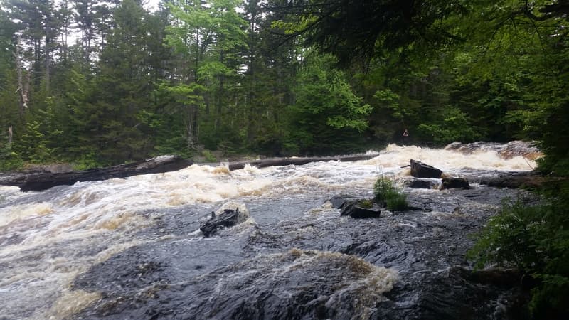Trip report photo