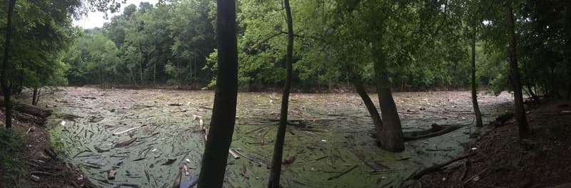 Trip report photo