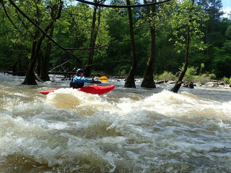 S-Turn/Tree Rapid