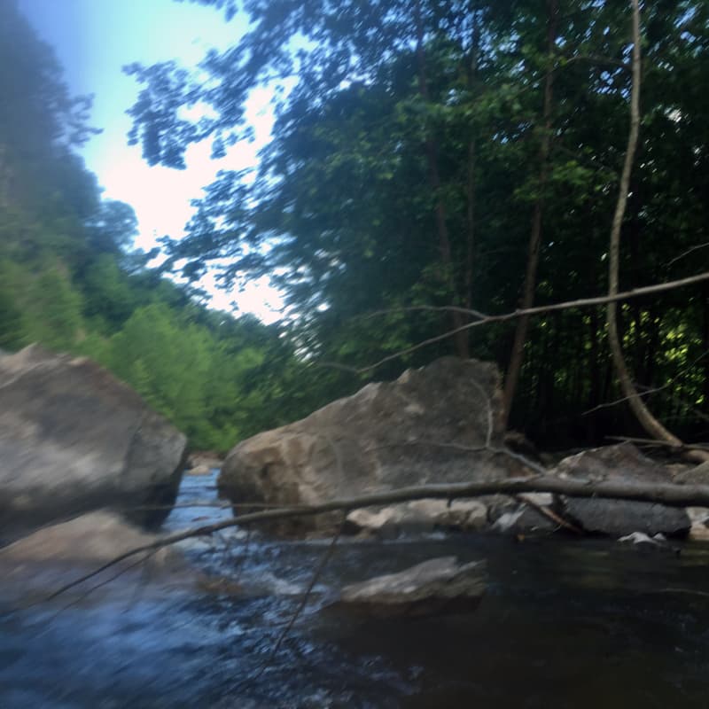 Trip report photo