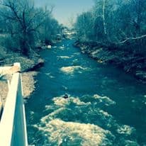 Trip report photo