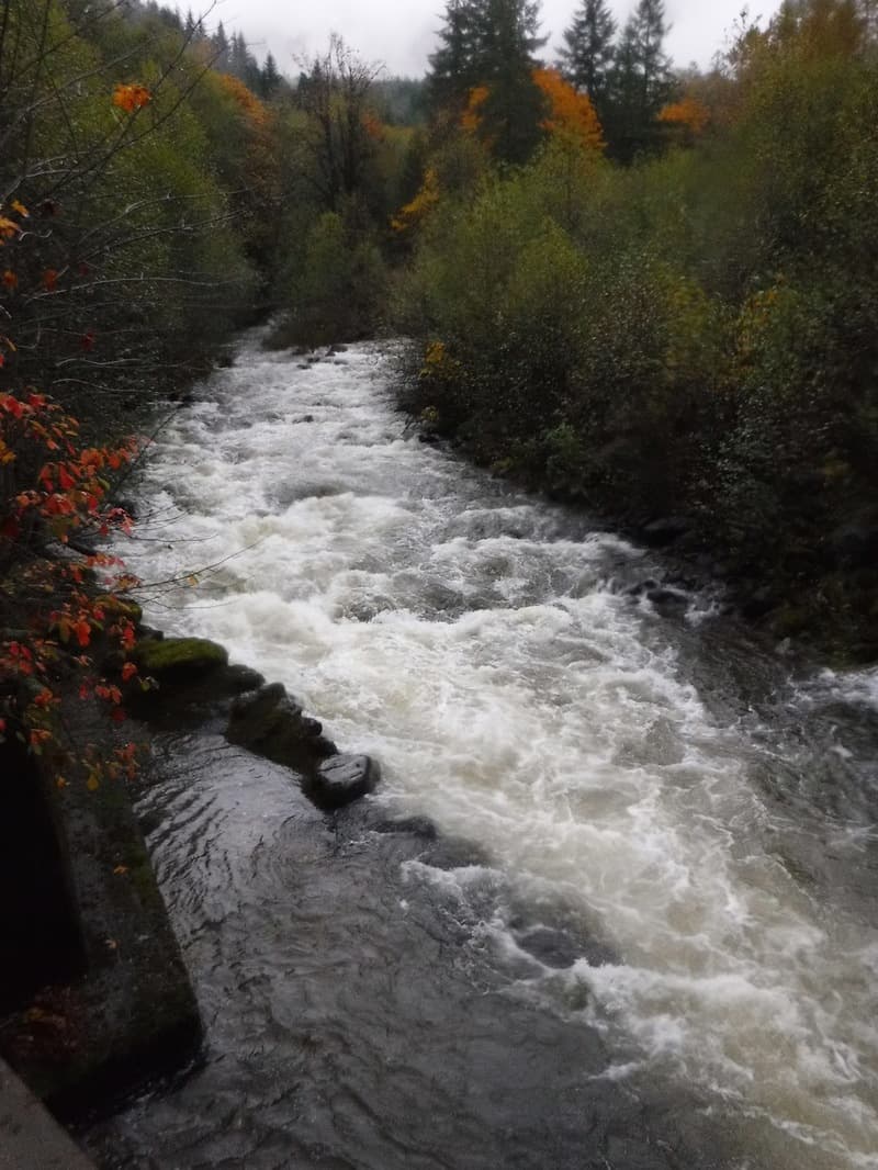 Trip report photo